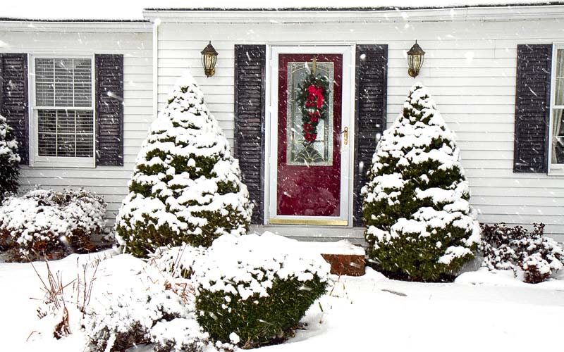 Storm Doors